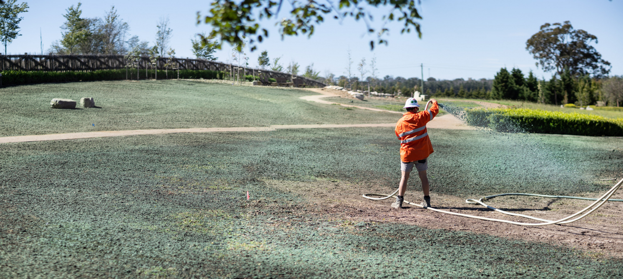 Spraygrass® Hydromulching